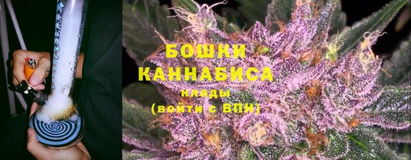 винт Белокуриха