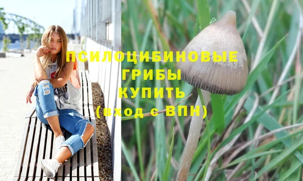 spice Беломорск